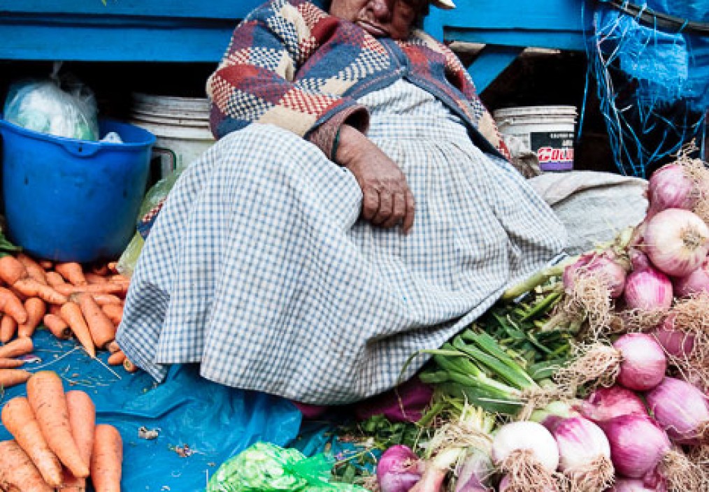 a market trader in cusco market asleep at her stall